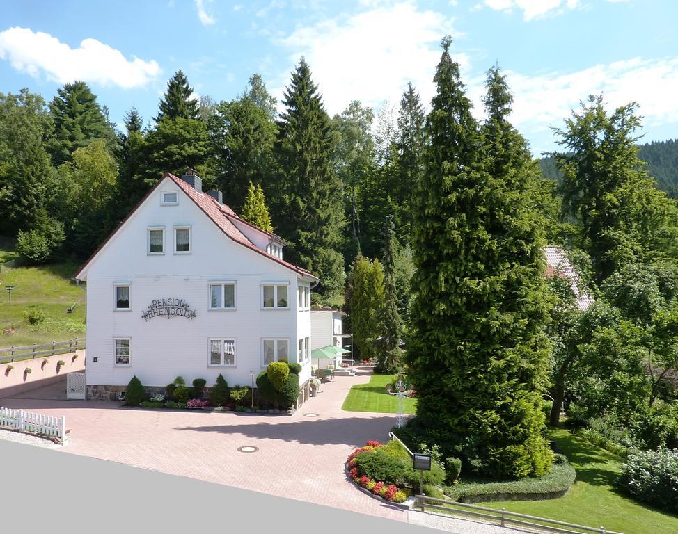 Pension Rheingold Garni 바트그룬드 외부 사진